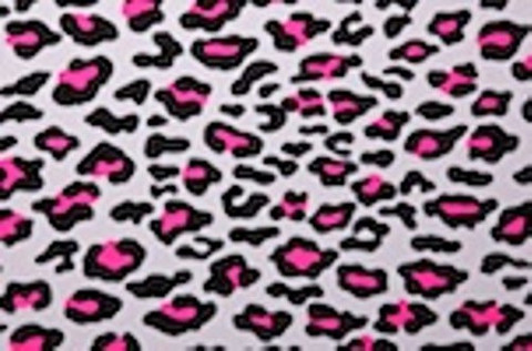 Cheetah Alex
